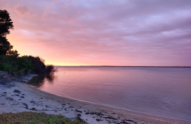Tranquil Spacious Holiday House