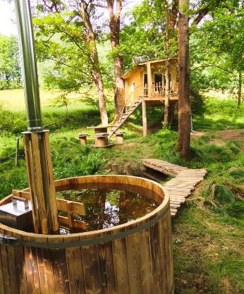 Treehouse LEA