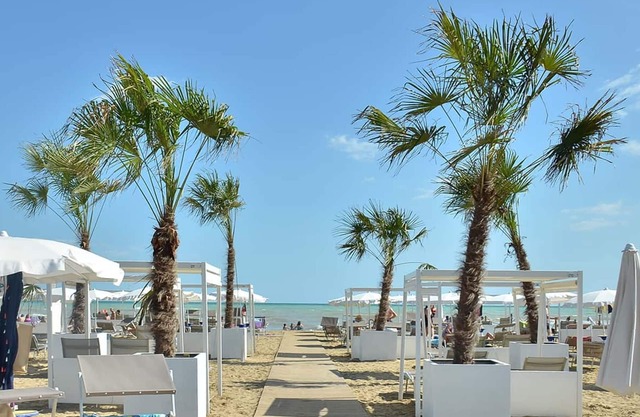 Trendy Seafront Apartment With Terrace