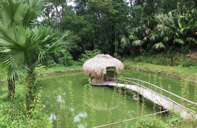 Unique Hagiang