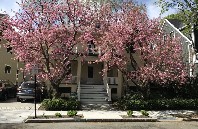 Urban/Suburban 4-bedroom, 2-bath House for Summer Rental in Brookline, MA