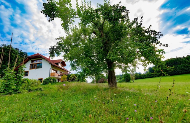 VILLA KATARINA APARTMENTS Nesteled in nature, wrapped in comfort.