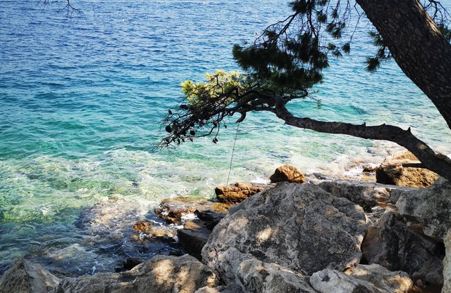 Villa on the heights of Dubrovnik private swimming pool Jacuzzi Sauna.