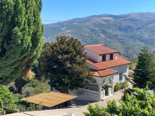Villa Samaritana - Casa da Vinha