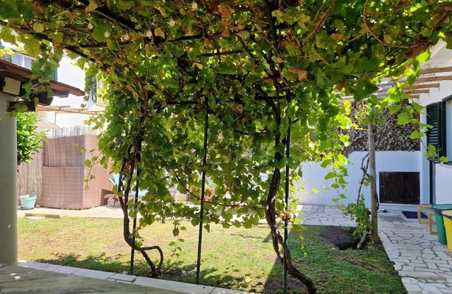 Vine Garden Villa