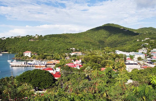 Walk to Cruz Bay. Charming 2 BR/2BA Condo overlooking Cruz Bay harbor!