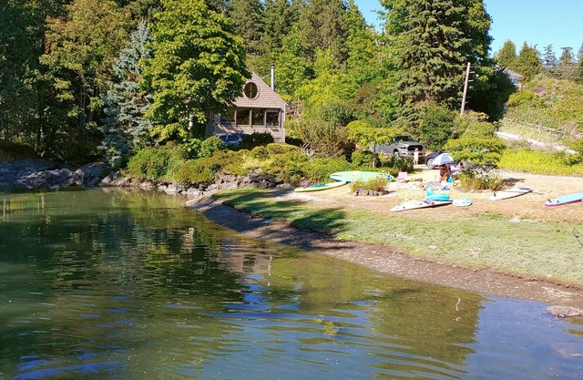 Waterfront cottage with tidelands, creek and waterfall!