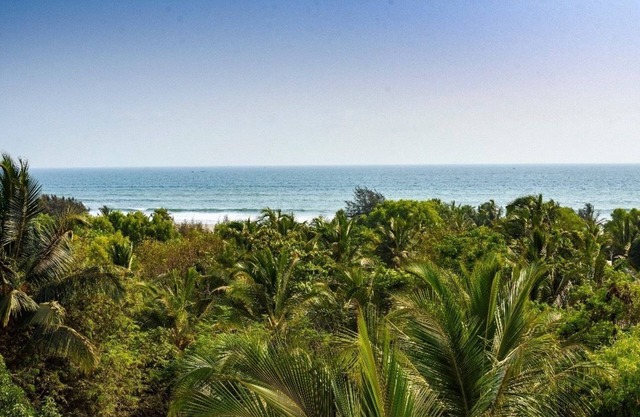 White Feather Resort