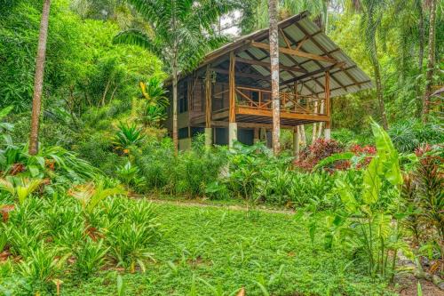 Wildlife Oasis Surf, Rainforest, Animals