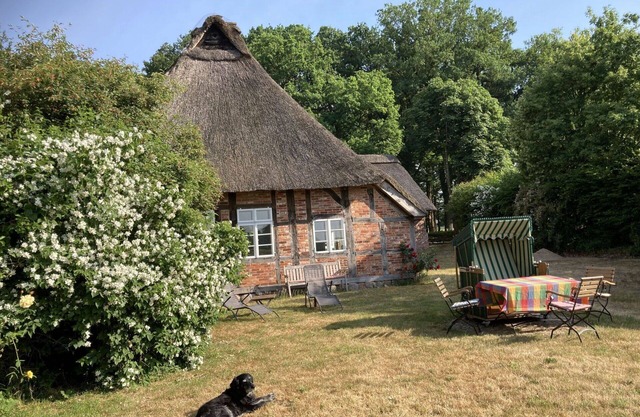 Wonderful private villa for 6 guests with WIFI and pets allowed