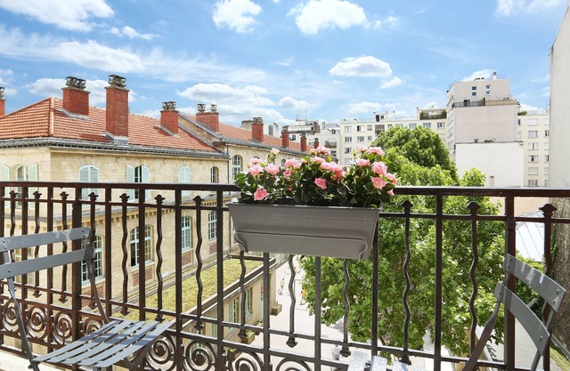 YAYS Paris Zola by Numa