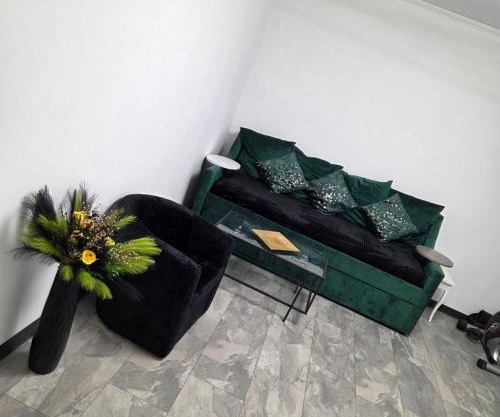 Zen apartament
