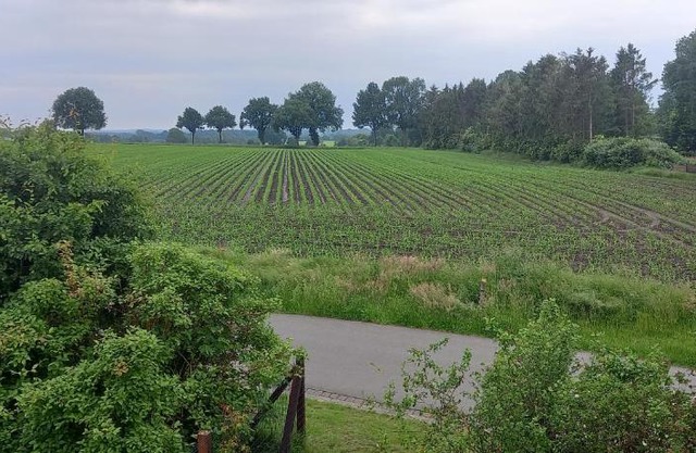 zum Kranichblick