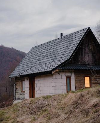 Nyzhnje Selyshche Apartment | Будиночок у лісі - Бовцар