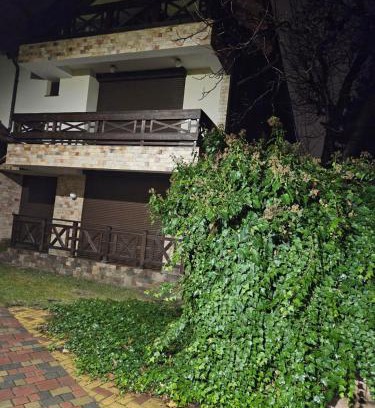 Calarasi House | жилой дом, возможен офис