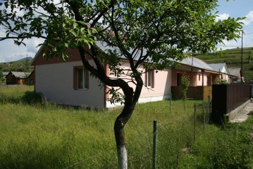 Soymy House | Котедж Ялівець