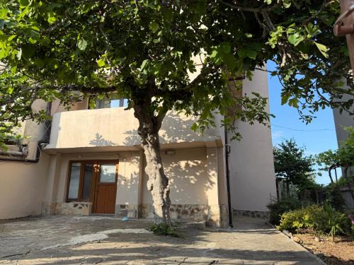 Akhtopol House | Къща за Гости Морска звезда