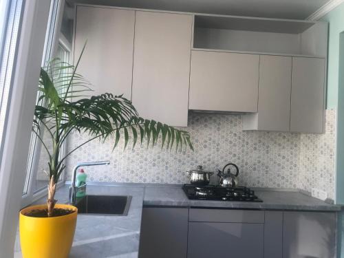 Vapnyarka Apartment | Уютная квартира у моря !