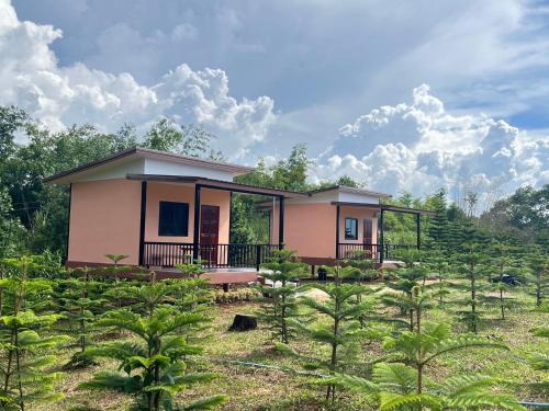 Khao Kho House | บ้านสวนหมอกเขาค้อ b1