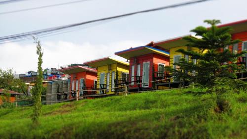 Lom Kao Cabin | ไร่กะหล่ำหวาน ภูทับเบิก