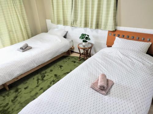 Sumiyoshi Apartment | グリーンコーポラス501