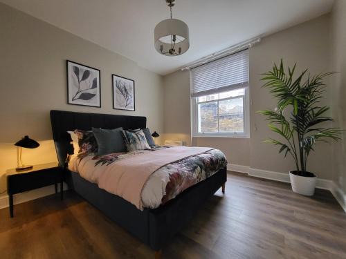 Bloomsbury Apartment | 1 Bed Apartment Russell Square