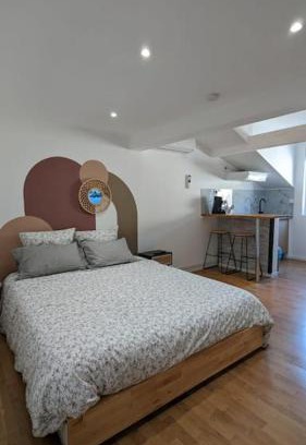 Agen Apartment | 2e Grand Studio Agen Hyper Centre - Clim - Jacobins