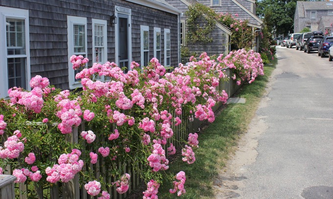 Siasconset House | 3 bedroom, 2 bathroom newly renovated in the heart of Sconset with new HVAC