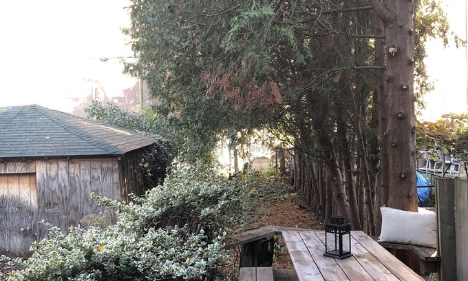 Bloorcourt Village House | 3 Bedroom house with garden in the city