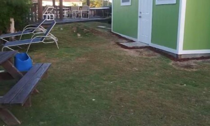 Coral Harbour Apartment | A Hidden Gem