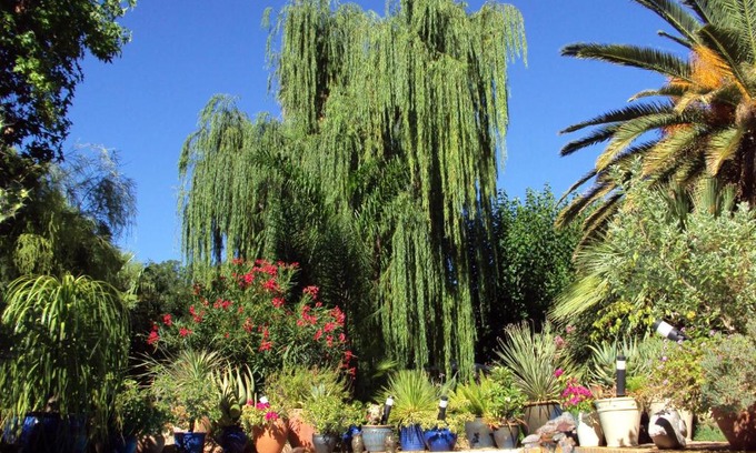 Upington House | a La Fugue