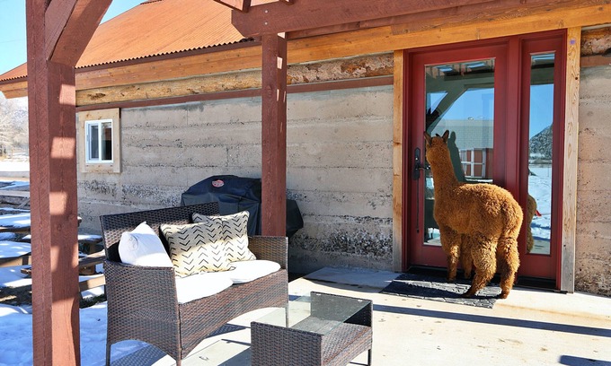 Silt Apartment | A Night with the Alpacas & Alpaca Experience!