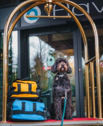 Whistler Village Hotel | Aava Whistler Hotel
