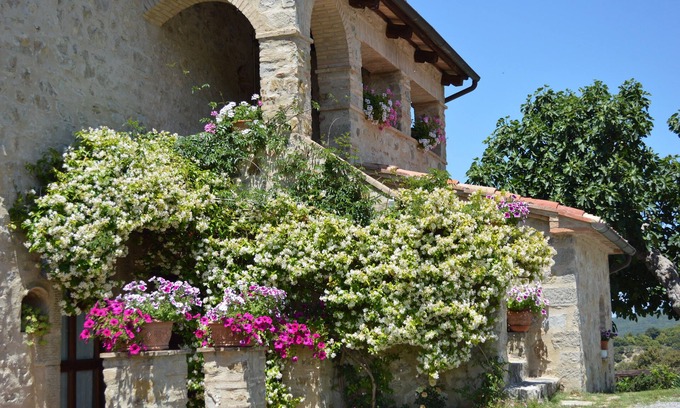 Seggiano Other | Agriturismo Bellavista between Amiata and Val D'Orcia - Mountain Apartment