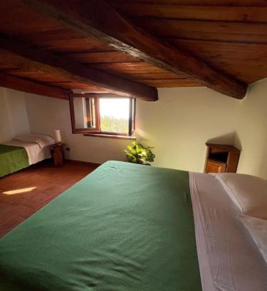 Grisolia House | Agriturismo Difesa del Monte