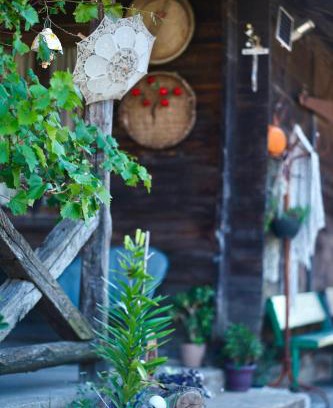 Tkibuli House | Agro Guesthouse Korena