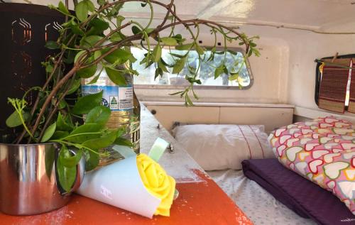 Morley Other | Airport small van for rest