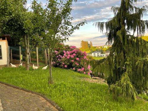 Attendorn Apartment | Am Waldrand