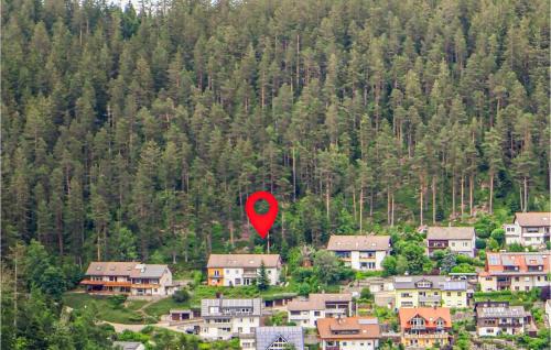 Schonach im Schwarzwald Apartment | Amazing Apartment In Schonach Im Schwarzwal