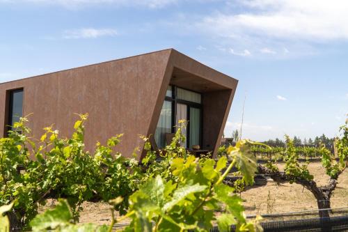 Tupungato Cabin | Andeluna Winery Lodge