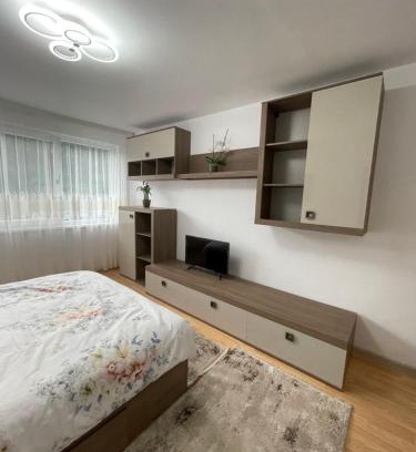 Orsova Apartment | Apartament Denisa