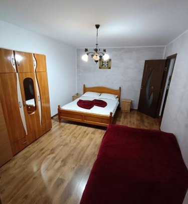 Slanic-Moldova Apartment | Apartament Nemira
