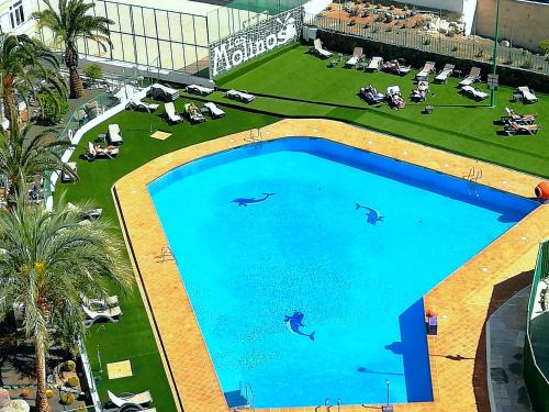 Playa del Ingles Apartment | Apartamento en Playa del Inglés Los Molinos 726