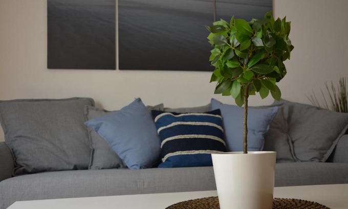 Puerto de Guimar Apartment | Apartamento Salitre con Aire Acondicionado