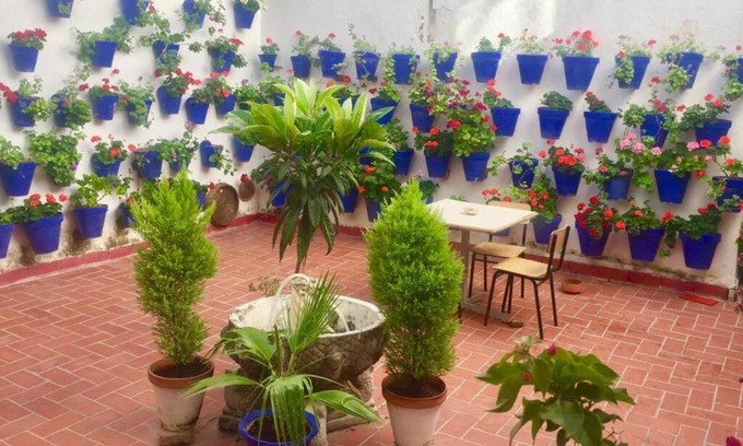 San Pedro Apartment | Apartamento Toril-Casco Histórico