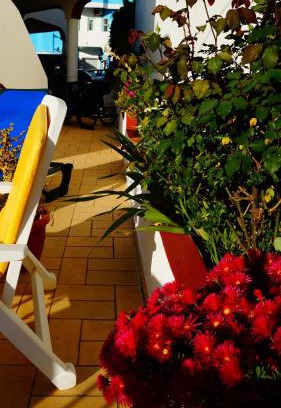 Sagres Apartment | Apartamentos e Quartos Atalaia