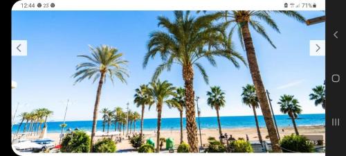 Old Town Apartment | Apartamentos Gali playa 2 San pedro 10