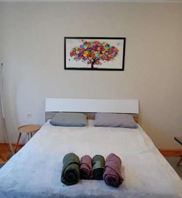 Zajecar Apartment | Apartman A-1