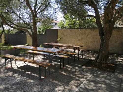 Bibinje Apartment | Apartmani A&N