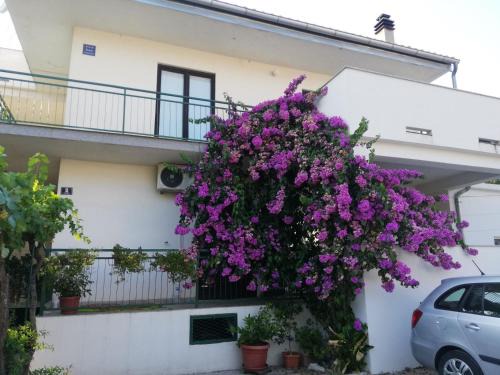 Pirovac Apartment | Apartmani Danica